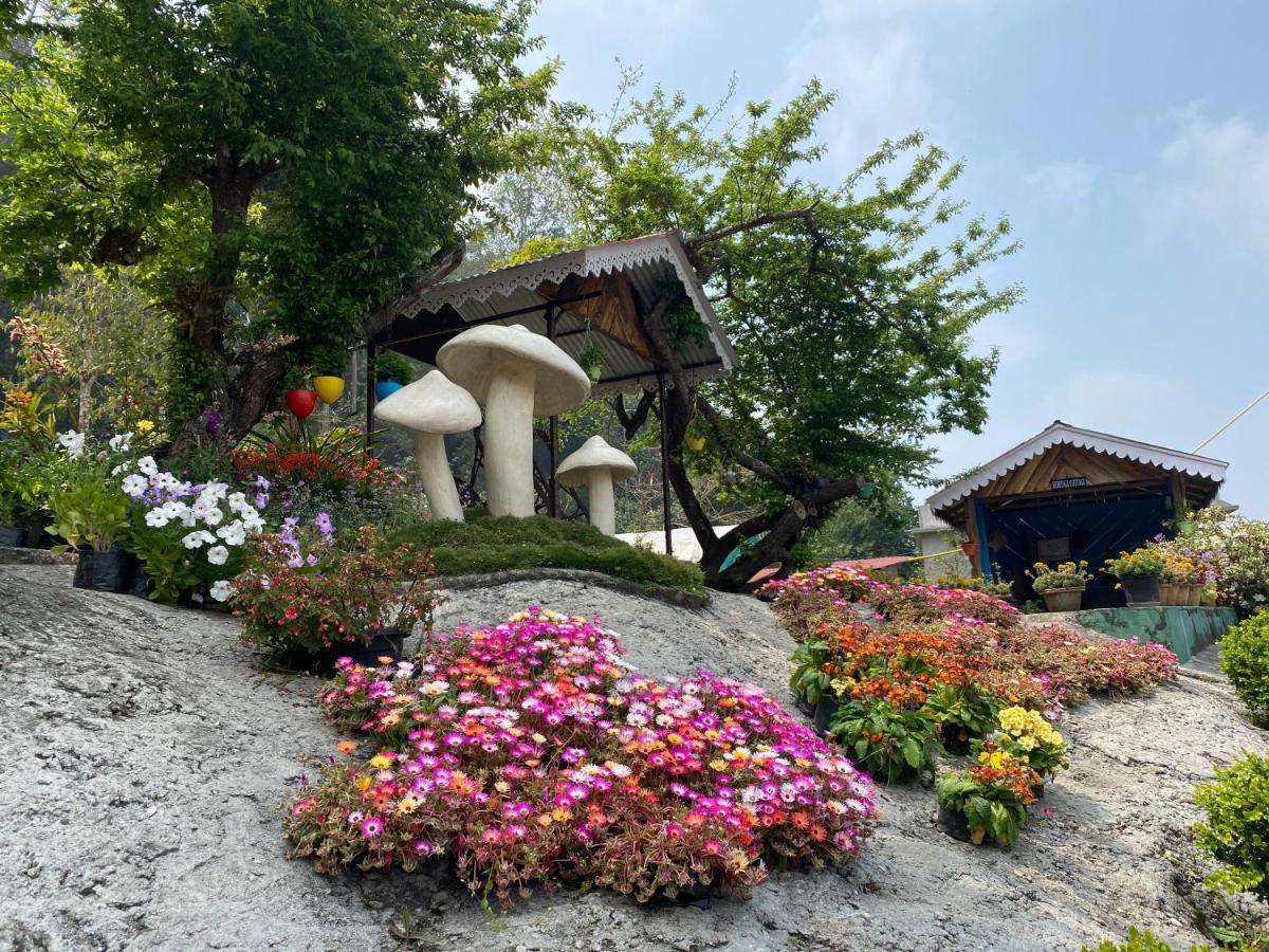 Dungmali Heritage Resort Namchi Ngoại thất bức ảnh